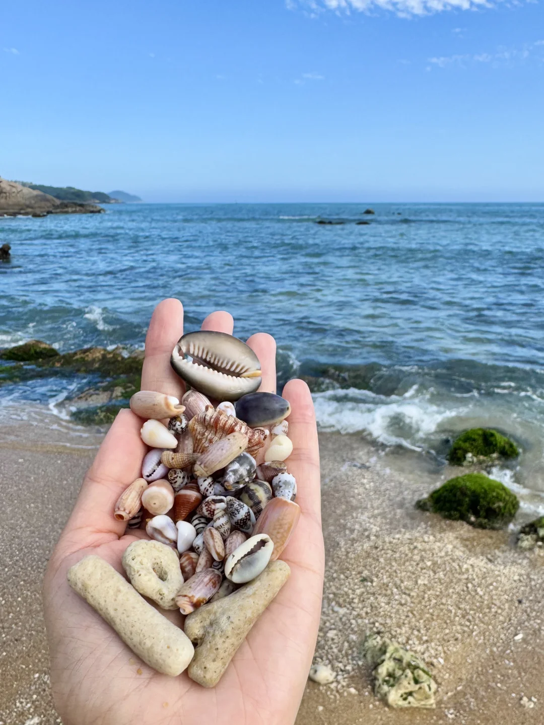 3.1号实况～万宁石梅湾这儿好适合捡贝壳🐚。。