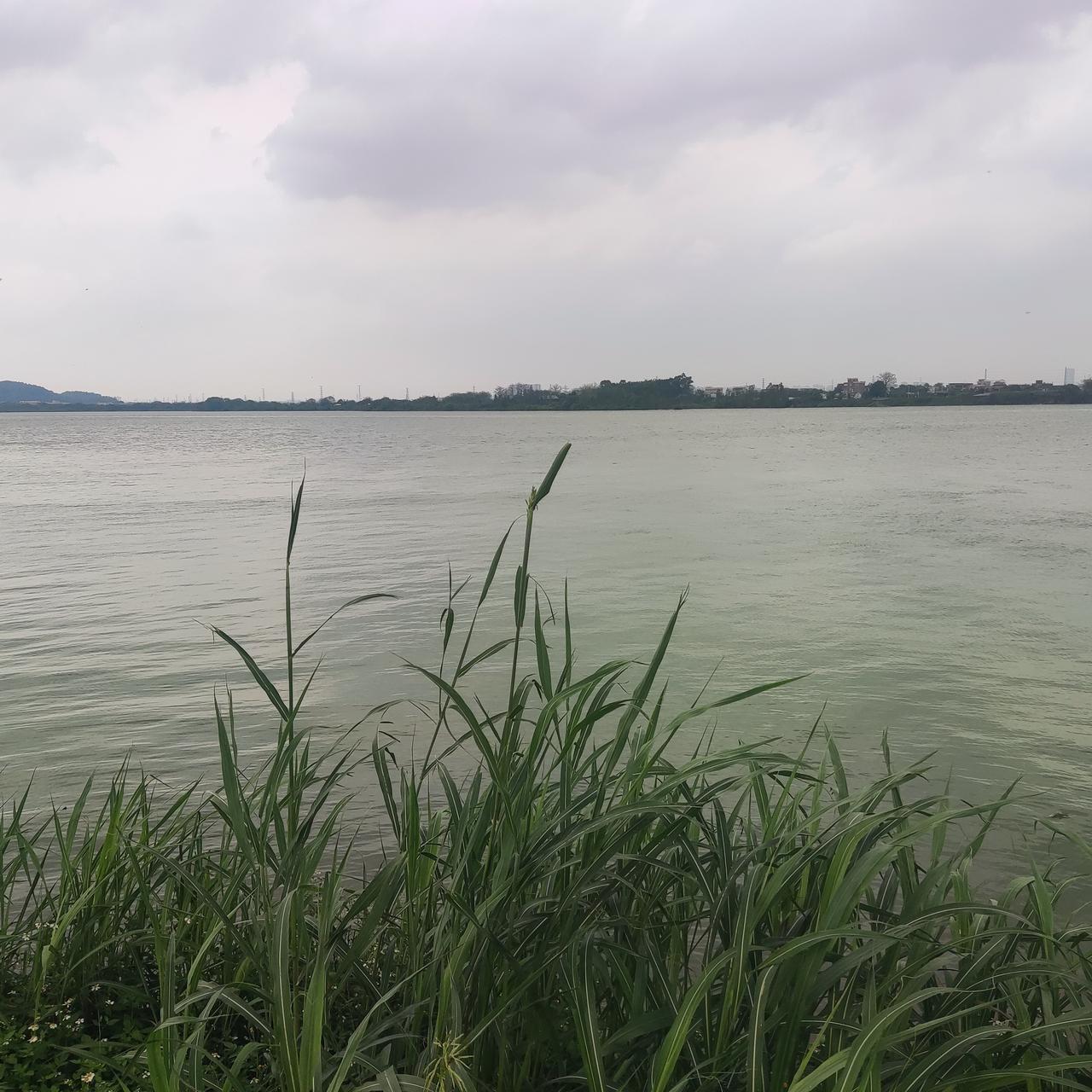 我愿沉默成一尊雕像

我不是行人
心却随着行人飘向远方
我不是旅者
却坐在旅者的