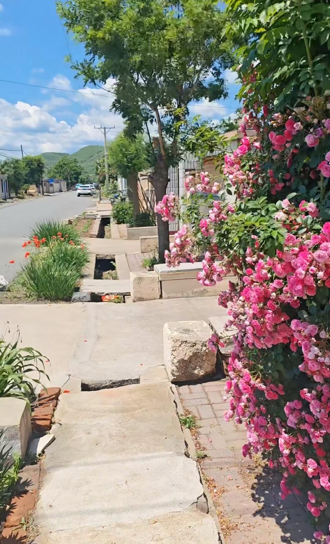 6月7日，今晚的最低温度只有13℃，这是四十多年来，我在辽宁锦州感到的夏季里，最