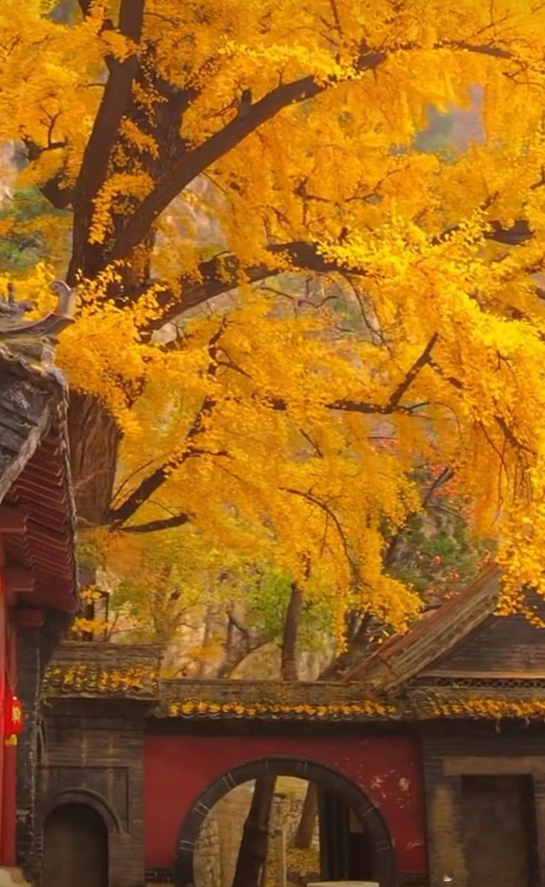 手机老用户为啥被固定在高价套餐不喜欢换号，手机办公、娱乐流量消耗也越来越多，套餐