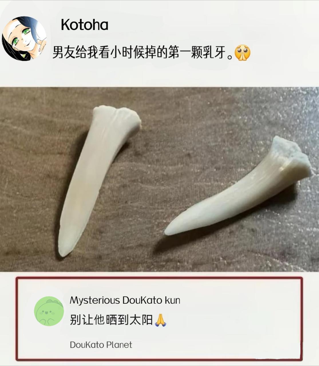 5494梗图遂P之 
