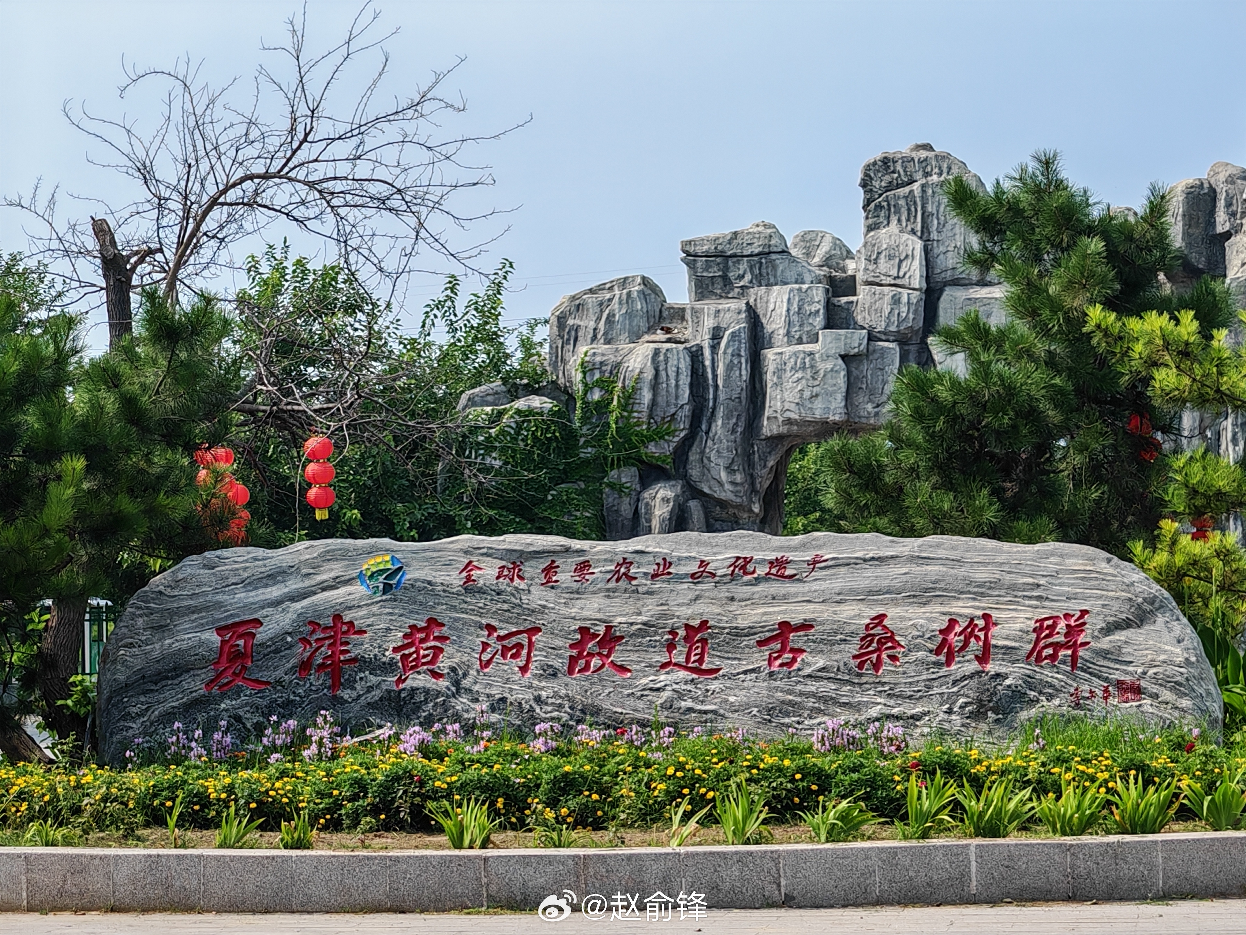 曲阜师范大学社会实践【搭建校地实践桥梁，构建长效护航机制——黄河桑源守护实践队探