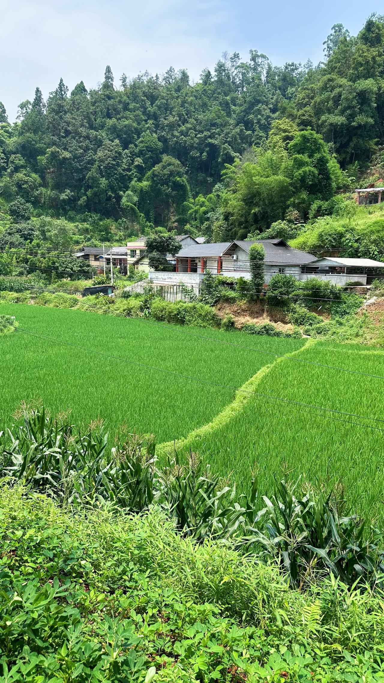 为了配这首BGM，于是我翻遍了相册！城市万般灯火，不及老家一缕炊烟
老家才是疲惫