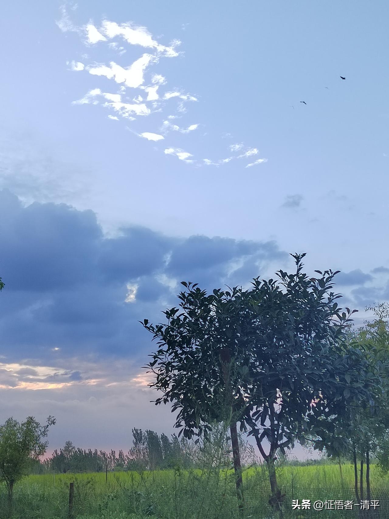 《无为大为》
行于世间，非以力胜，乃以空容。
如江不推舟，而舟自浮流；
春不令花