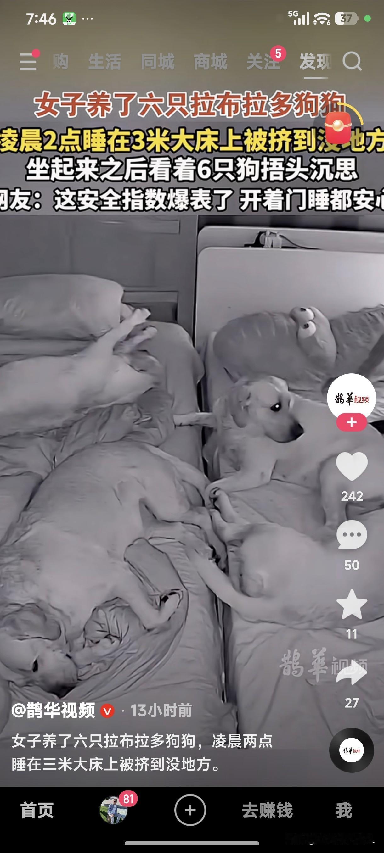 震惊到了！一女六狗同睡一张床！
我知道现在的人都养狗，还知道养狗的女人很多。现在