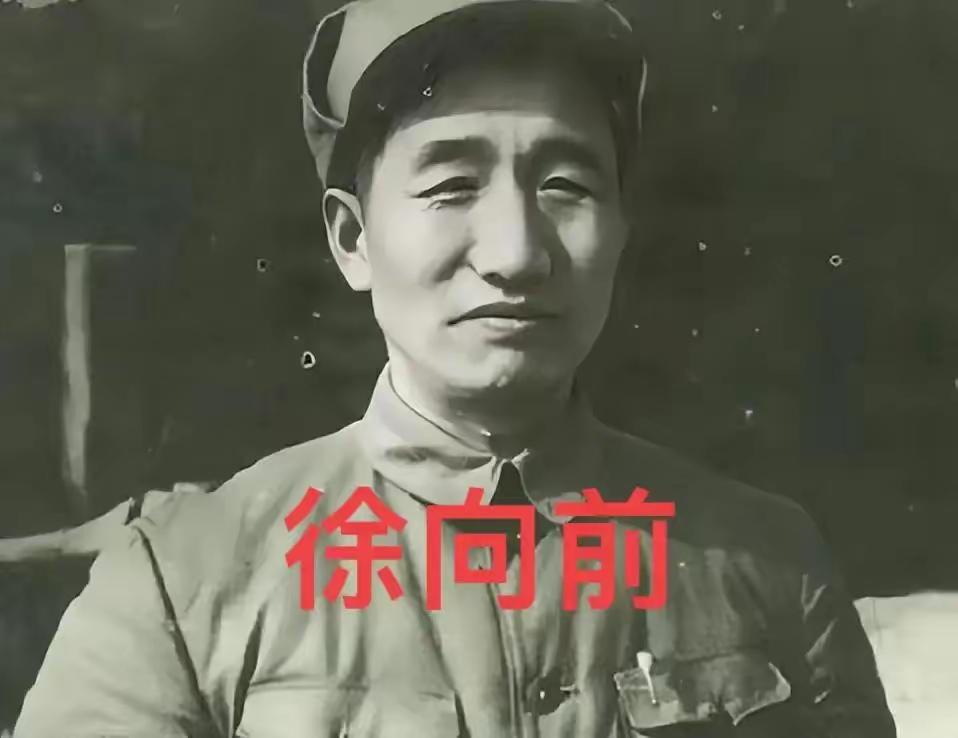 长征时，徐向前养了一只猴子，每当徐向前骑马跨枪，跃马狂奔时，那只猴子也蹲在马背上