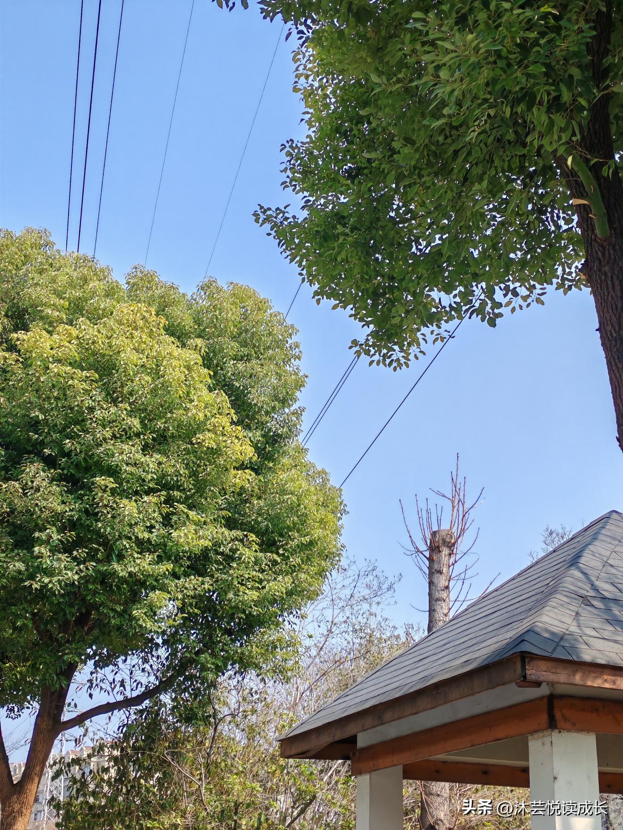 退休后的第二个月，我输给了“闲”
 
我从来没想过，有一天会被“不用上班”这件事