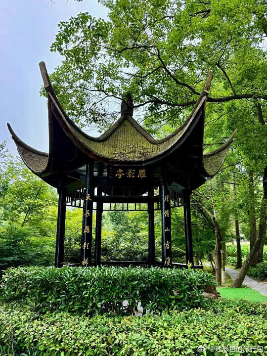 武汉东湖真的是城市免费宝藏湖，水域比西湖大六倍。百多公里绿道适合骑行散心，一路串