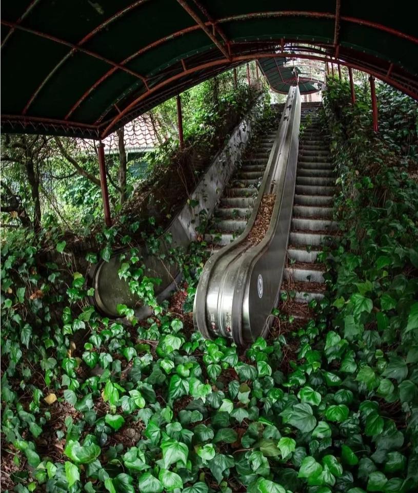 日本摄影师的作品，
他现在害怕以前需要用心寻找的拍摄地，
以后可能到处都是。