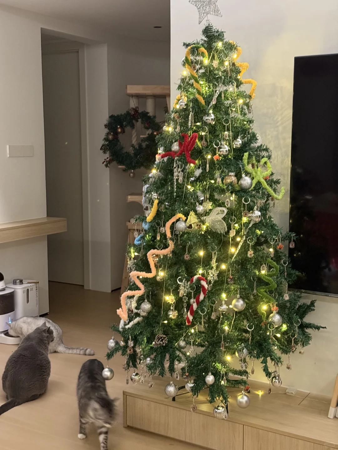 当我用【给爱豆做物料】的方法布置猫猫圣诞树