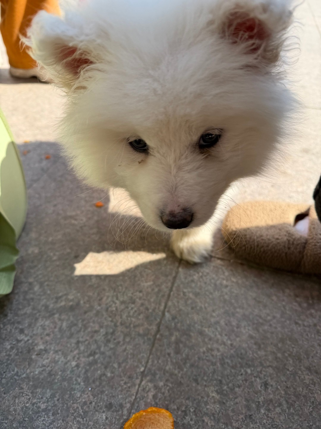 以后再也不随机找美甲店做 被丑到了 