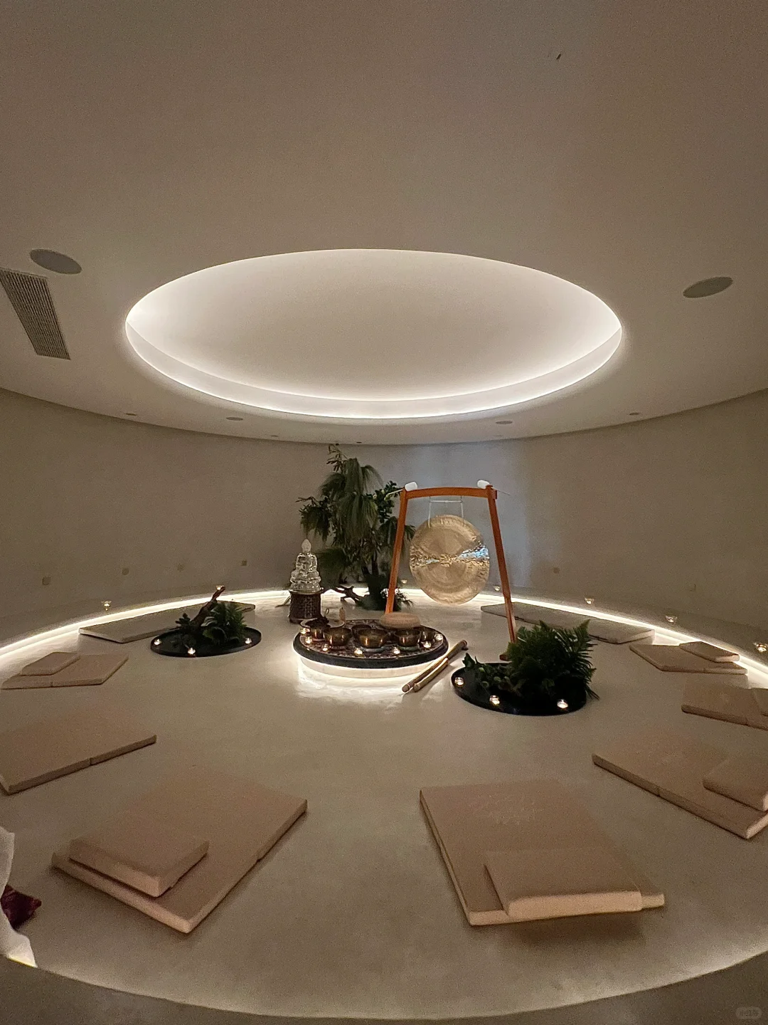 预计马上会成为郑州顶流…简直是太漂亮了！