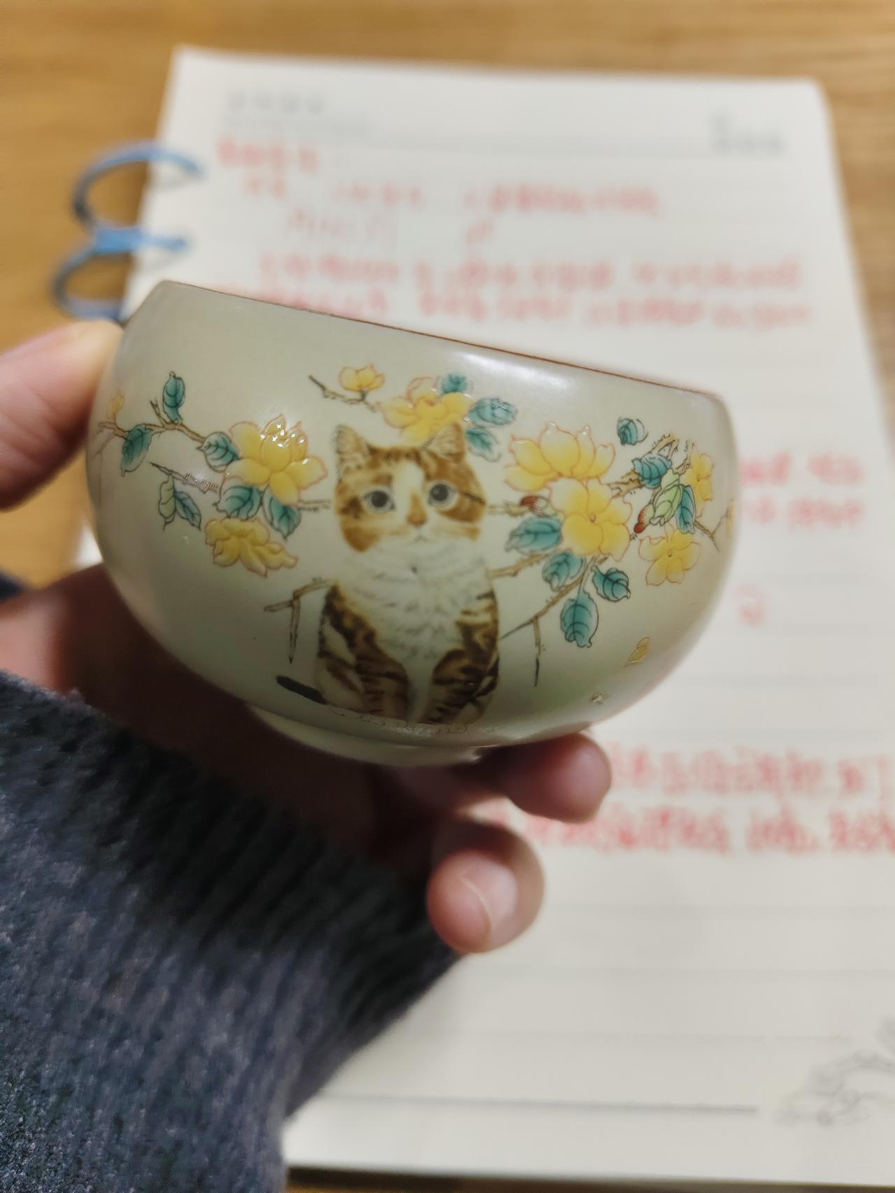 我发现一件事，现在上班的同事，好像下班后都有副业，没有真的回家休息，啥也不干的。