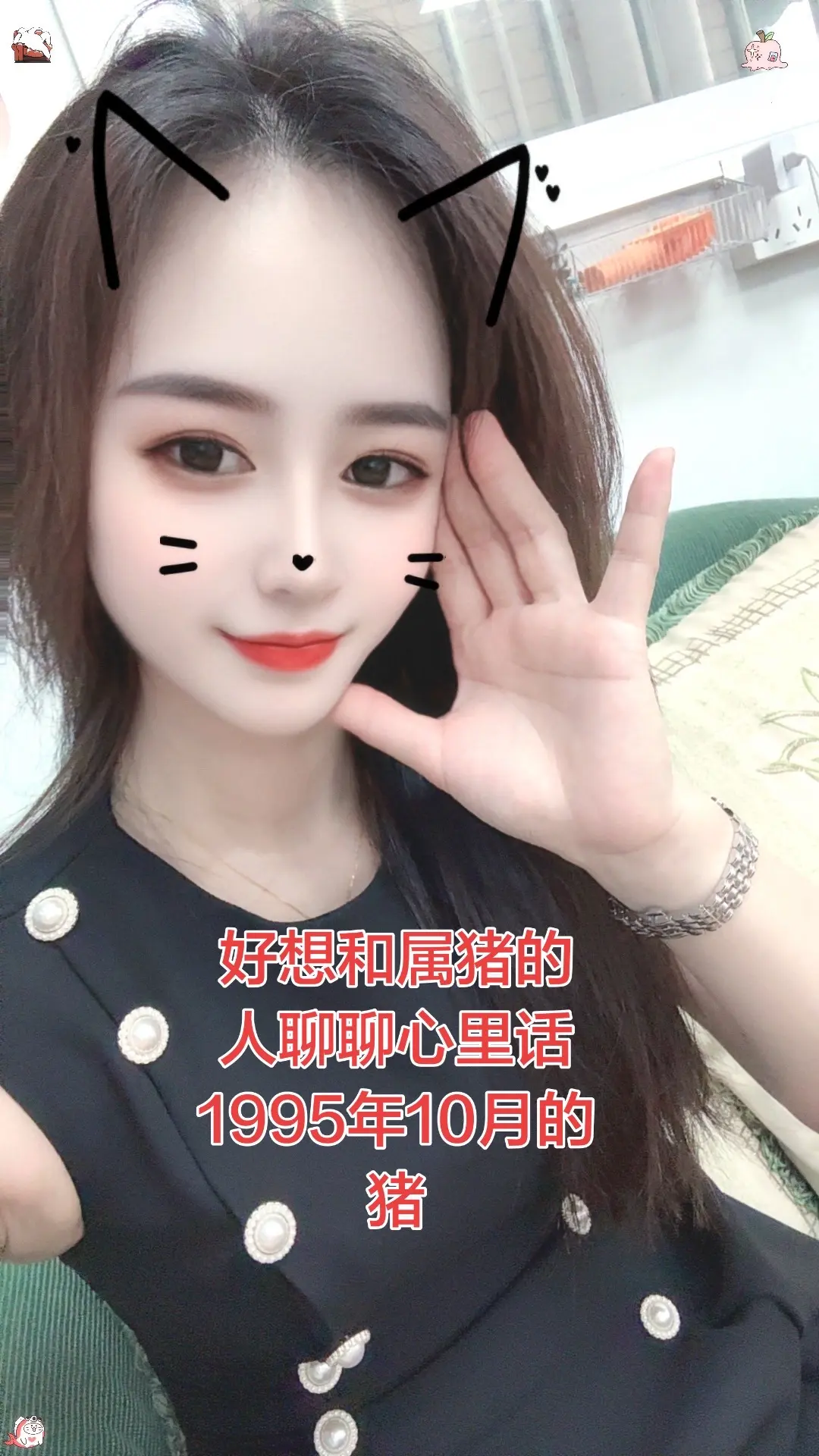 好想和属猪的人聊聊心里话