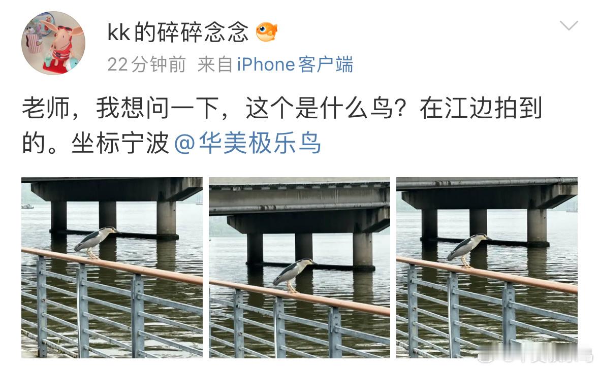 送分题环节～自信地说出它的名字 ​​​