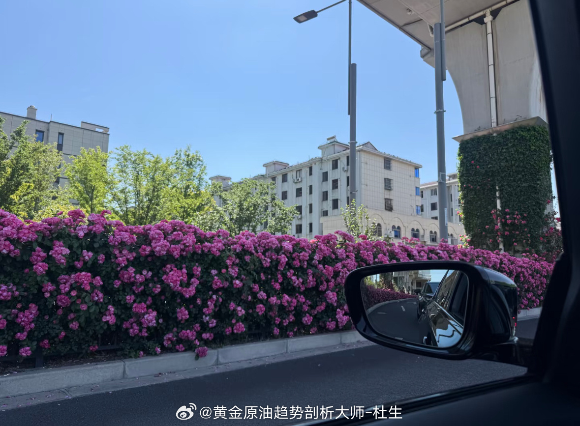 早上好啊朋友们！刚吃完早餐，此刻正去公司的路上，风都是清爽的，心里明镜似的，没有