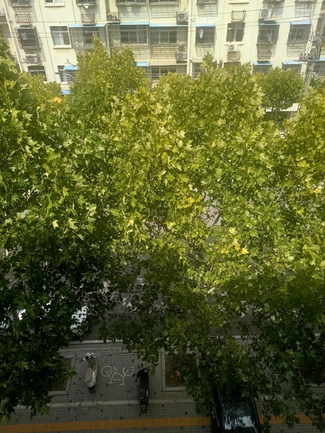 幸福是经历世事复杂后，能被一碗热汤温暖，银行卡余额带来消费安心，枕边人鼾声成安心