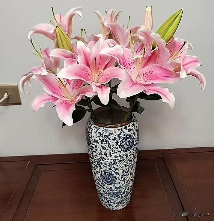 摆在蓝白花瓶里更显优雅
放在桌子上心情都好了呢！
有些事……吐出来矫情
咽下去苍