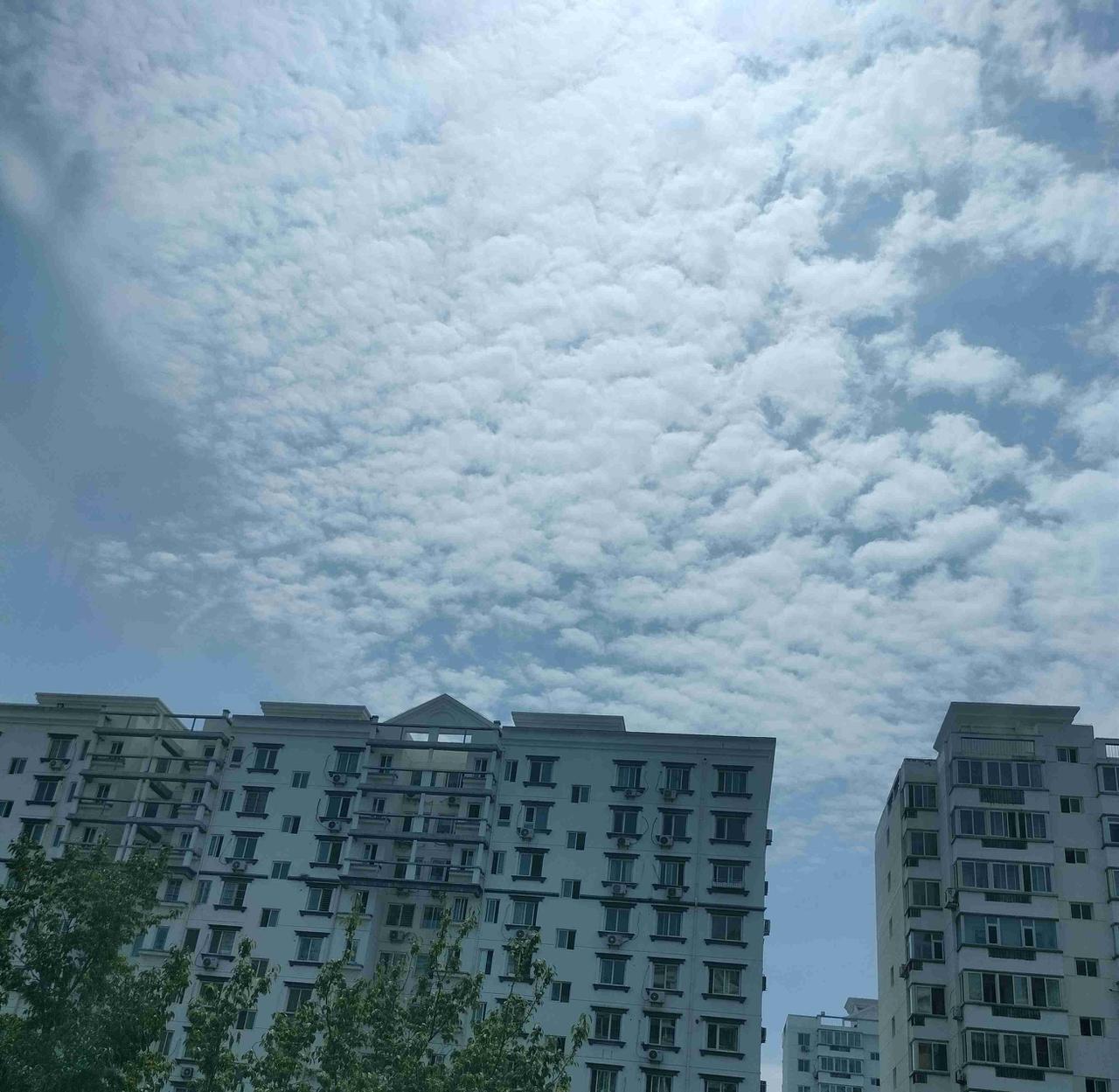我的今日状态：💰期待暴富
我这里的天气：☀️晴天