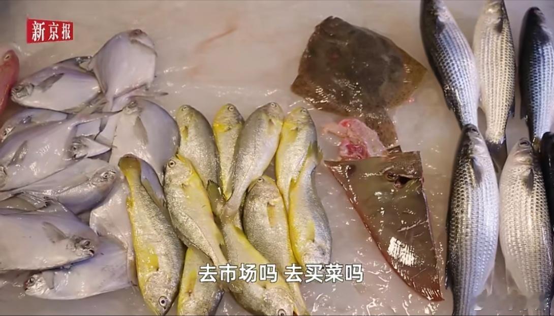 跟着时令走的菜篮子最懂鲜潮汕简直是预制菜克星潮汕人简直是“鲜味大师”！天色未明菜