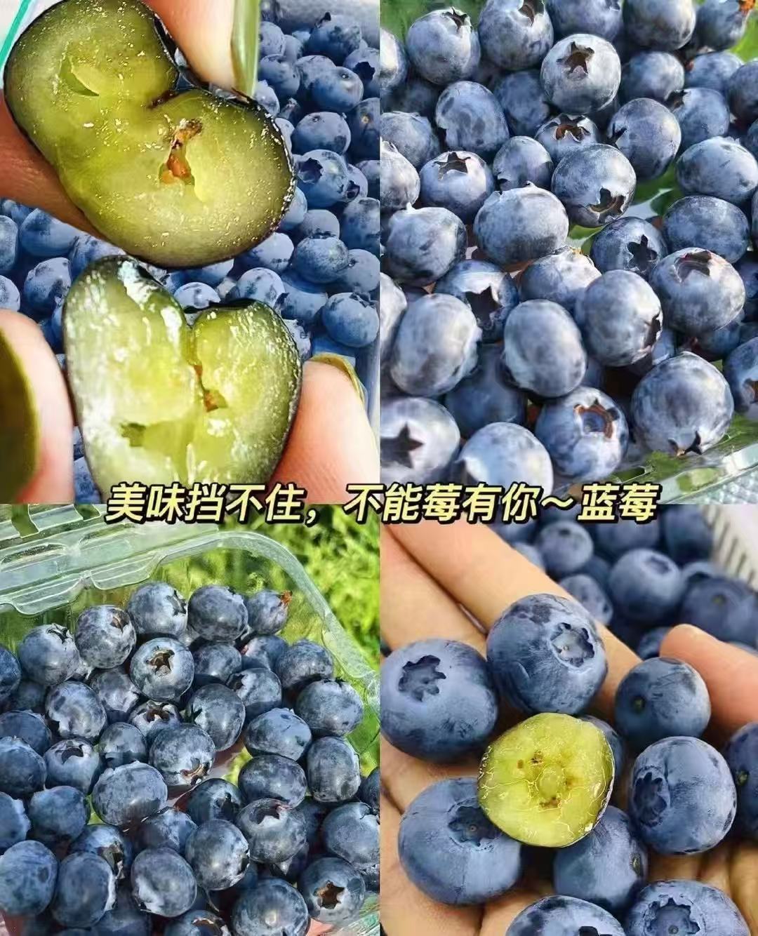 怡颗莓 致癌物最爱吃的怡颗莓蓝莓翻车上热搜，说检出致癌物，我直接人傻了常年回购就