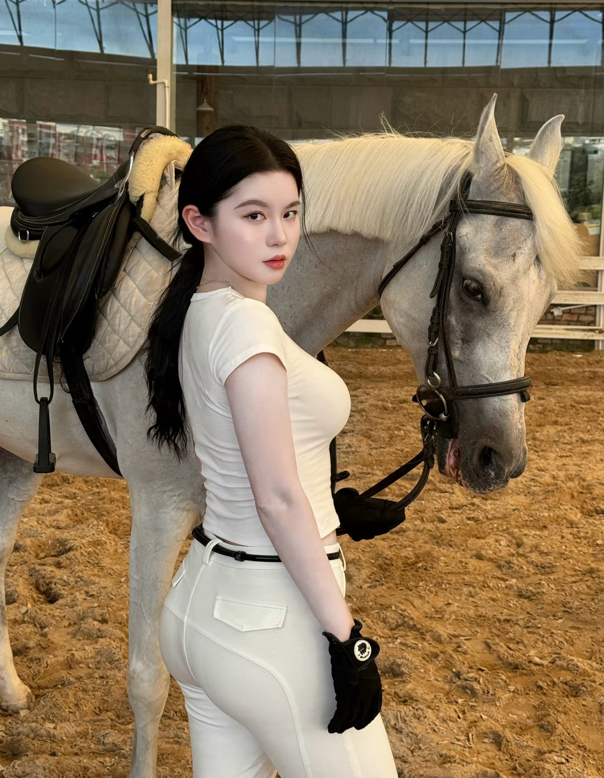 在马场邂逅优雅时刻：与骏马相伴，开启一场与自然的深度对话 ​​​