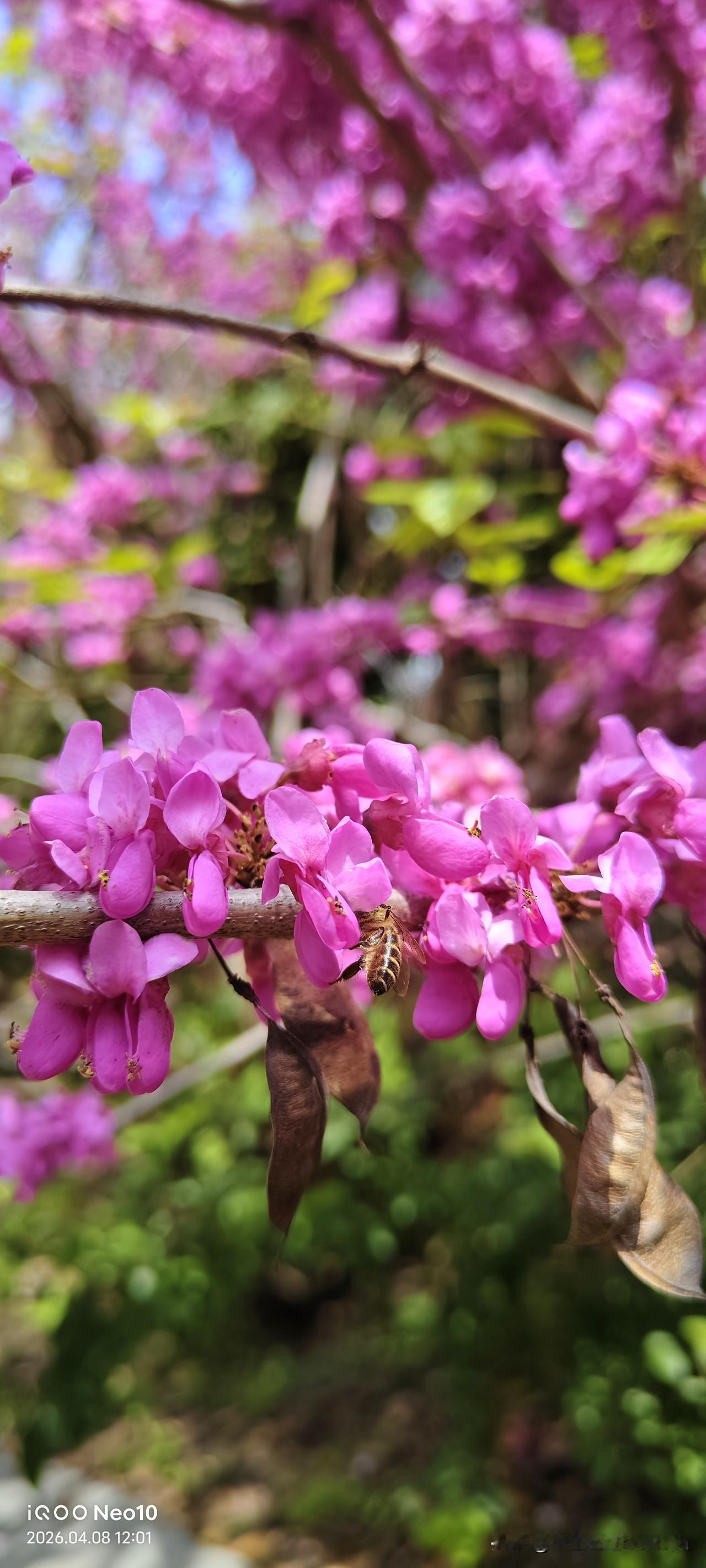 中午吃饭吃的有点饱了，看时间才11点半，病人都上床休息了，我穿上外衣去医院对面的