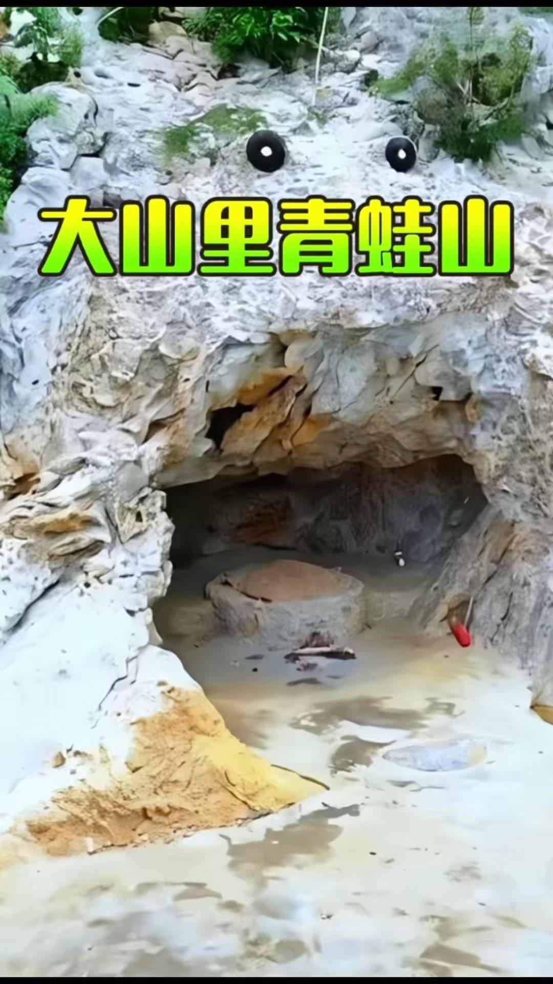 大自然的鬼斧神工总能带来惊喜！

在广西十万大山深处，有座酷似青蛙的山，形态逼真
