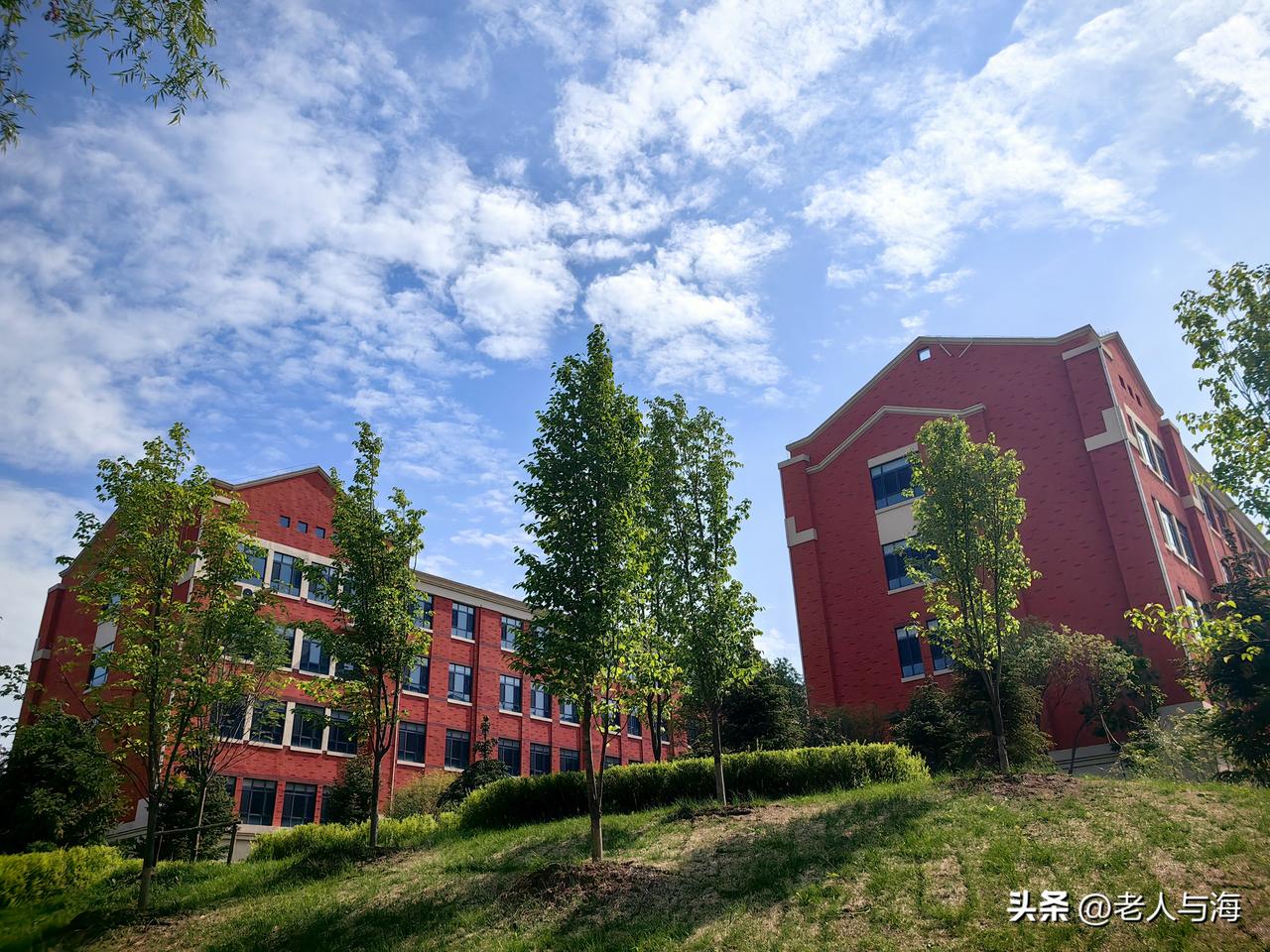我的城市由我拍，