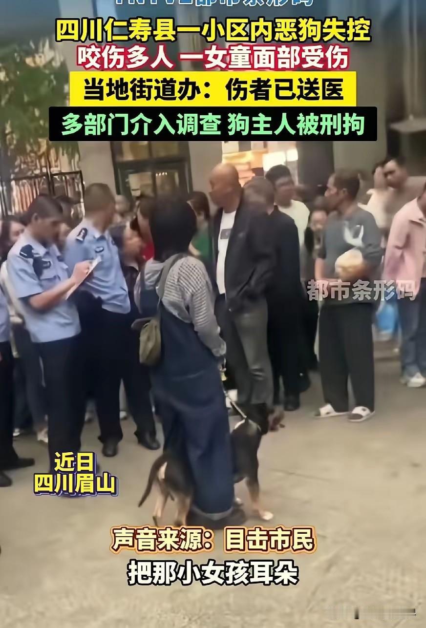 四川眉山牛头梗犬连伤五人，据通报，涉事犬只突然失控，在公共场所连续攻击路人，造成