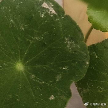 人心，是撑起整段人生的根本；善良，是永不褪色的生命底色。守住本心，常怀善意，不被