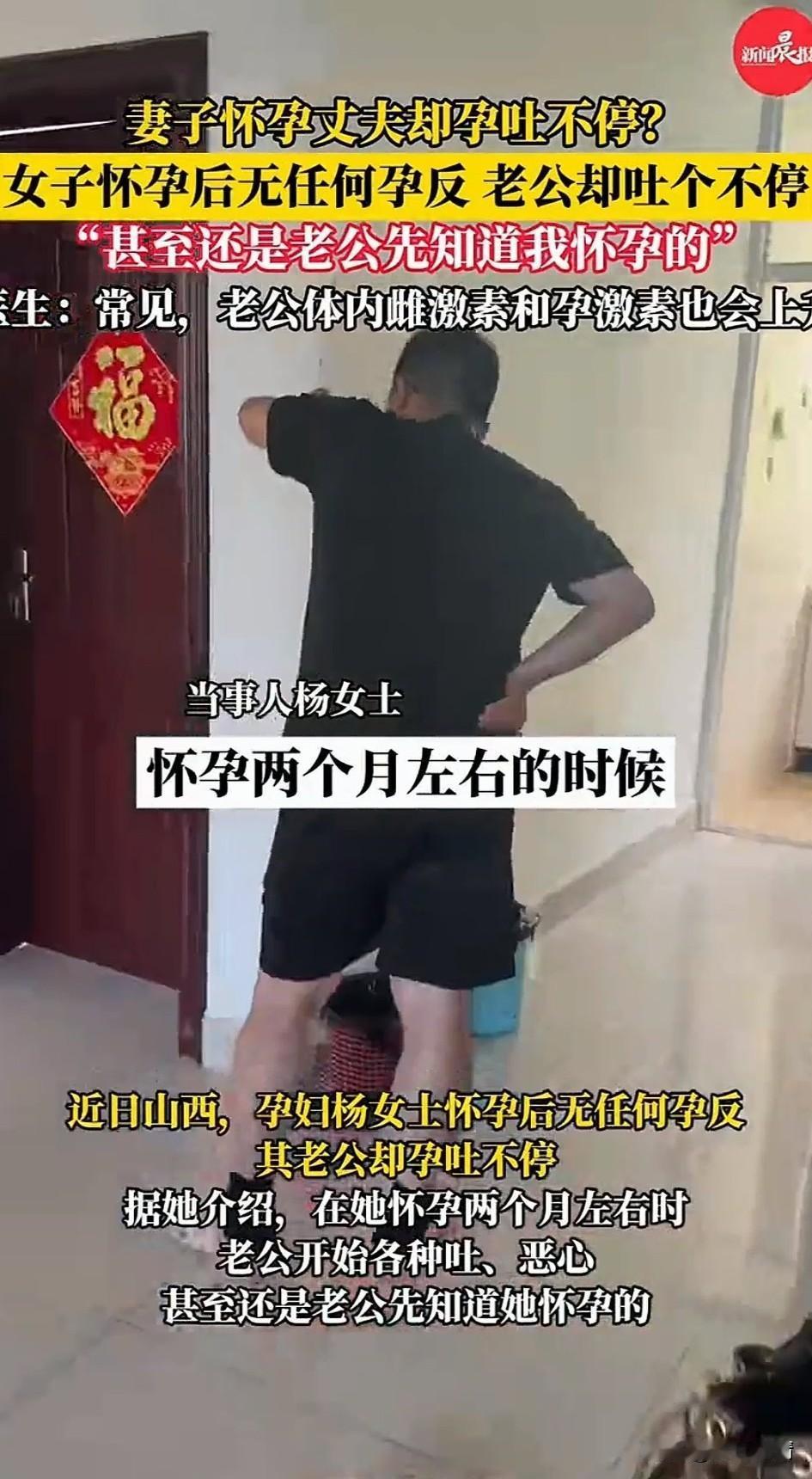 妻子怀孕丈夫却孕吐不止，近日山西杨女士怀孕了，他却没有任何孕吐反应，反倒是她的老