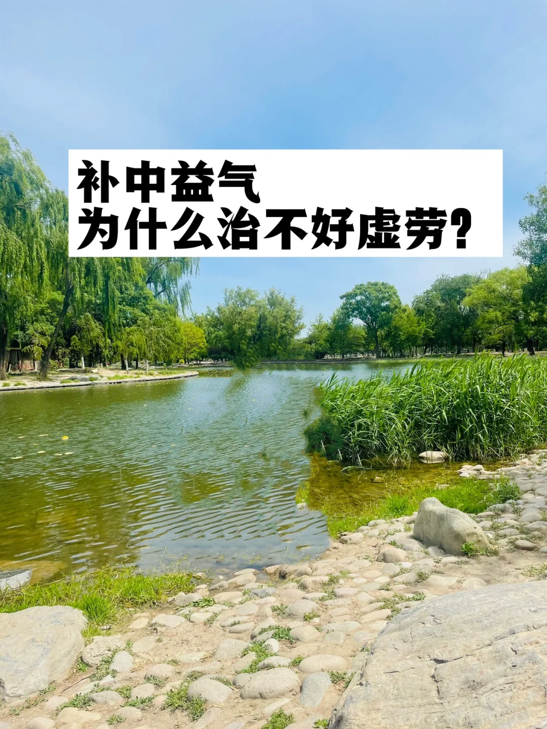 补中益气丸，为什么治不好虚劳？