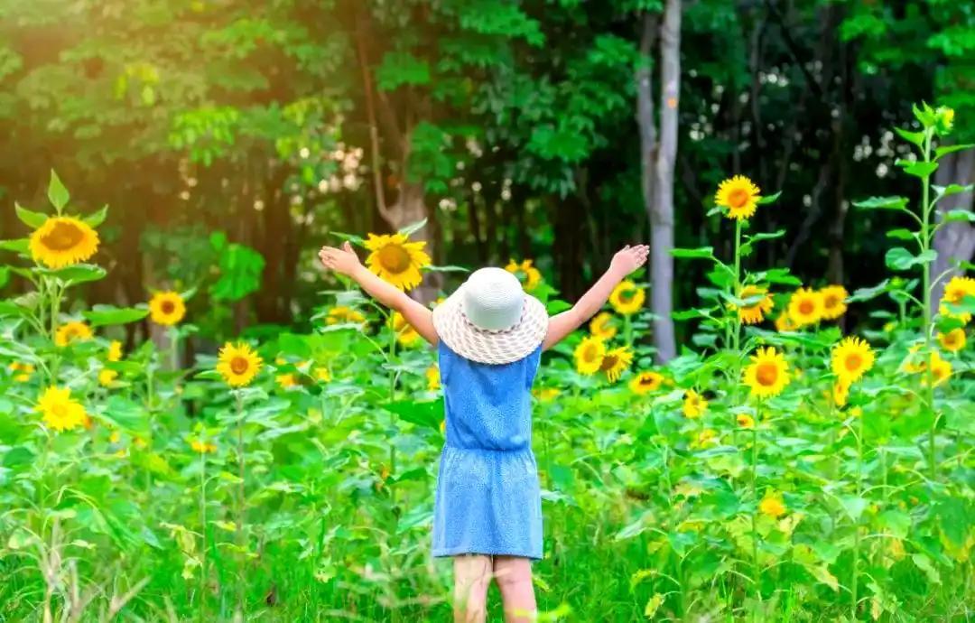 人这一辈子，最大的聪明，不是赢了多少人、占了多少便宜，而是少做蠢事、少走弯路，守