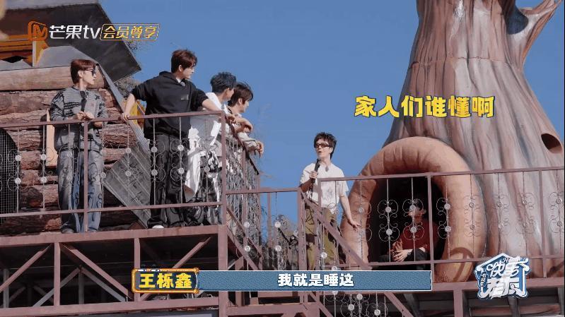 王栎鑫遇到梦中情房了糊糊：“我想住在树上！”哈哈哈哈哈哈哈哈真给他找到梦中情房了