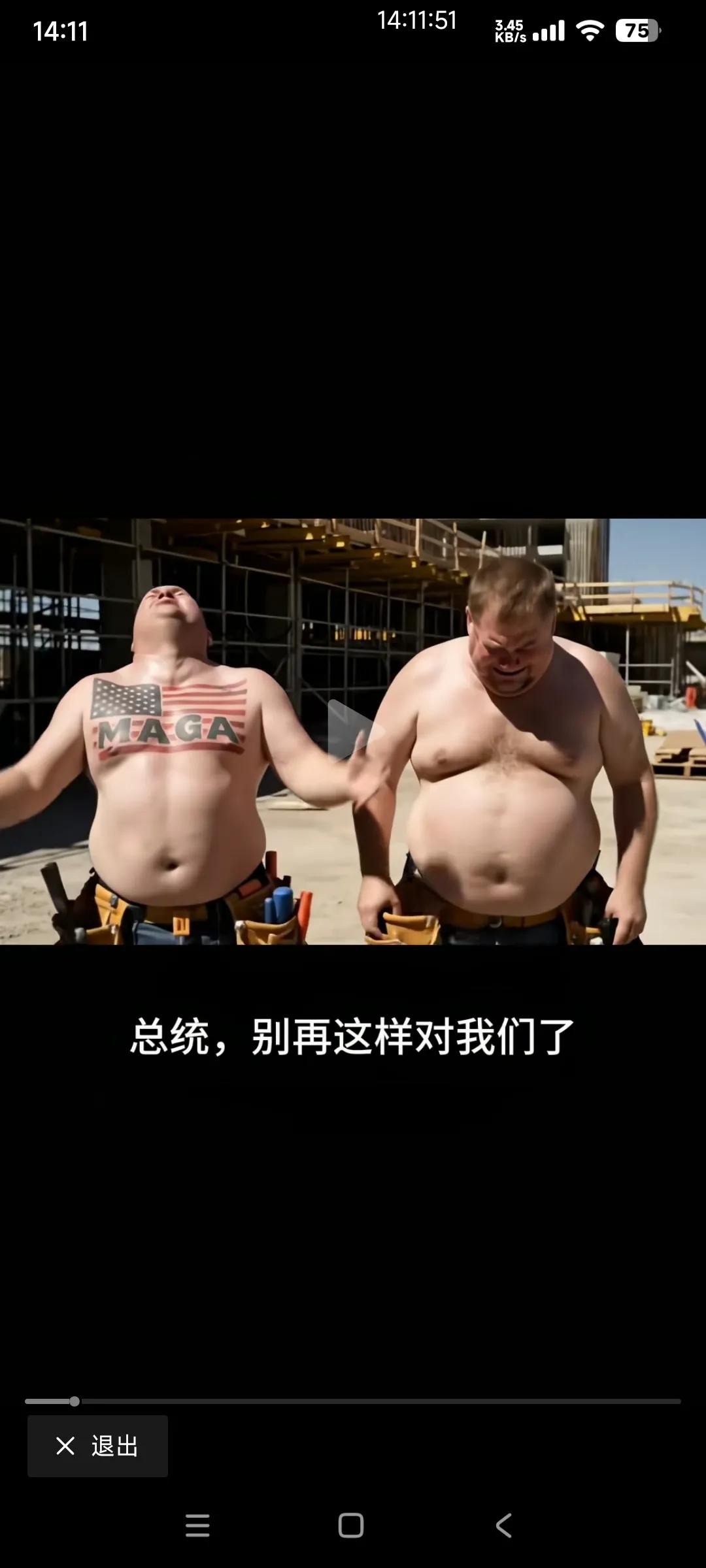 关于美国MAGA的冷笑话

MAGA：总统，别再这样对我们了。别把墨西哥人赶走，