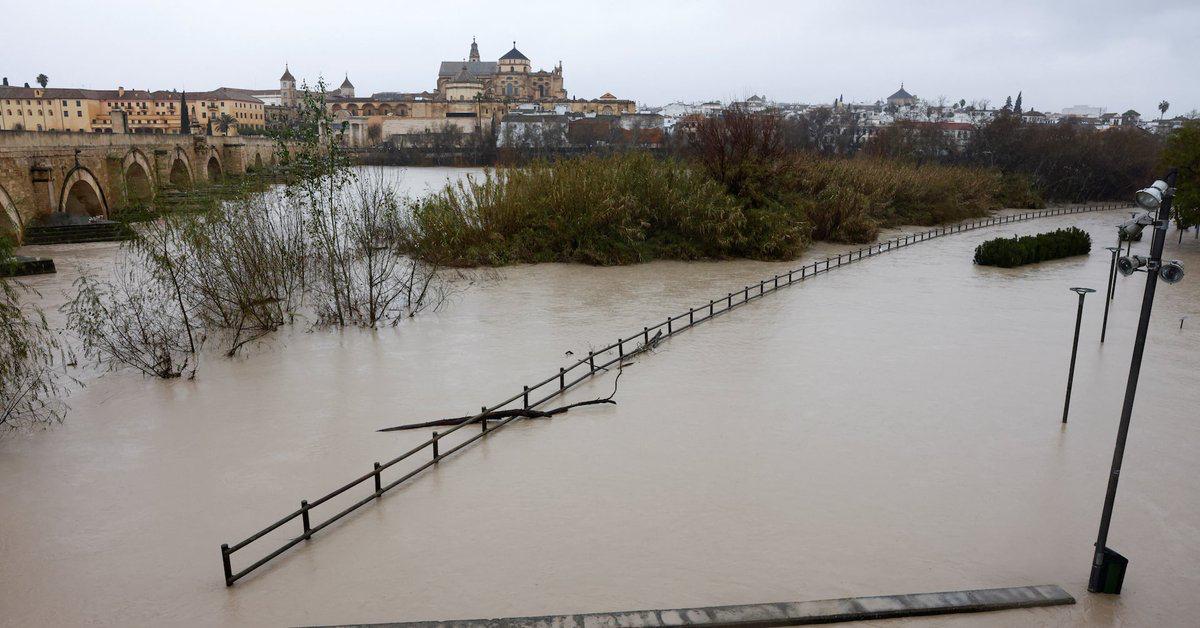 [To learn English]
Farmers in Spain warn
