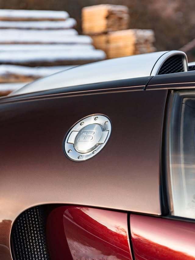 细节控📷📷📷布加迪肥龙🤎🤎🤎 