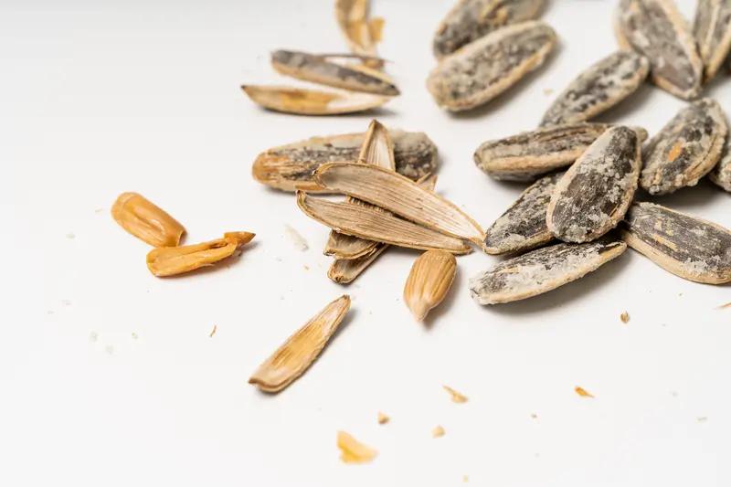 瓜子发霉了还能吃吗？别抠掉霉点就吃！内行人教你避开致命坑
 
家人们！是不是经常