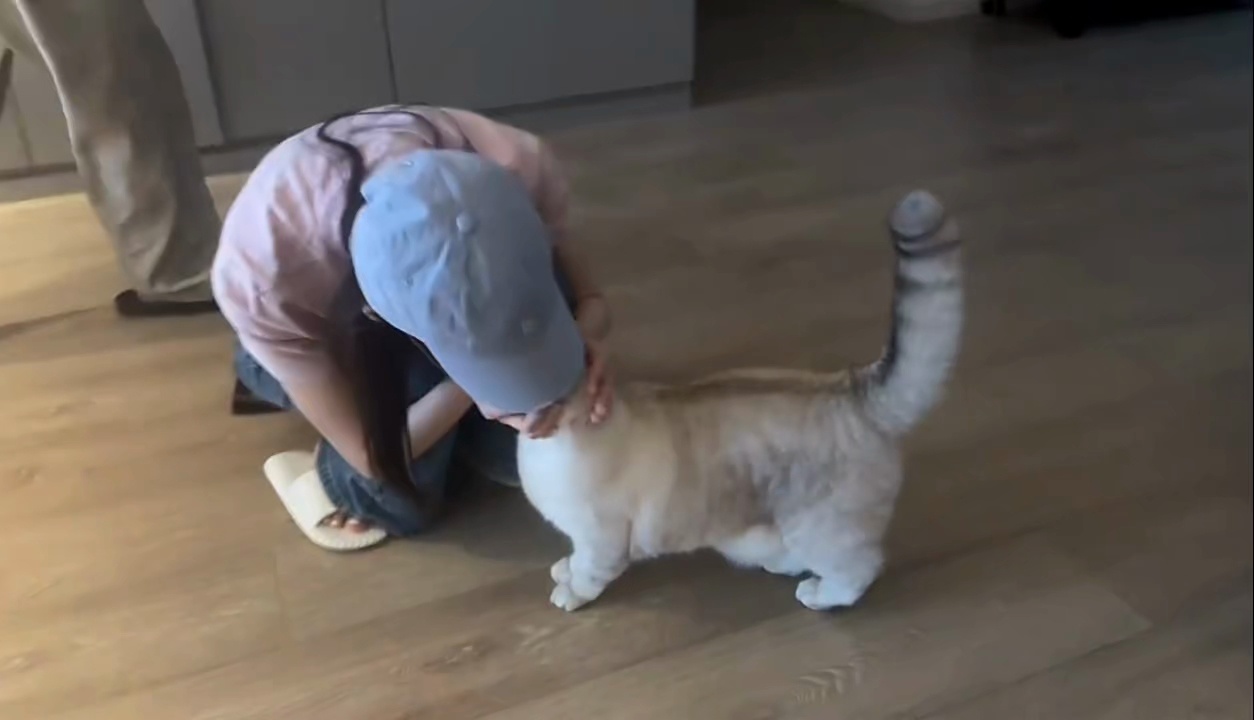 给配bgm的加鸡腿 everyday~ 