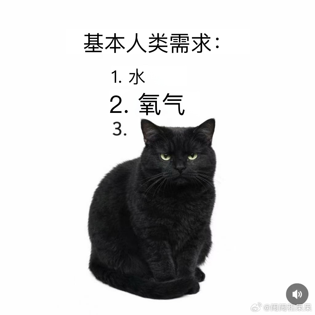 人类基本需求..cr：meowplifier 