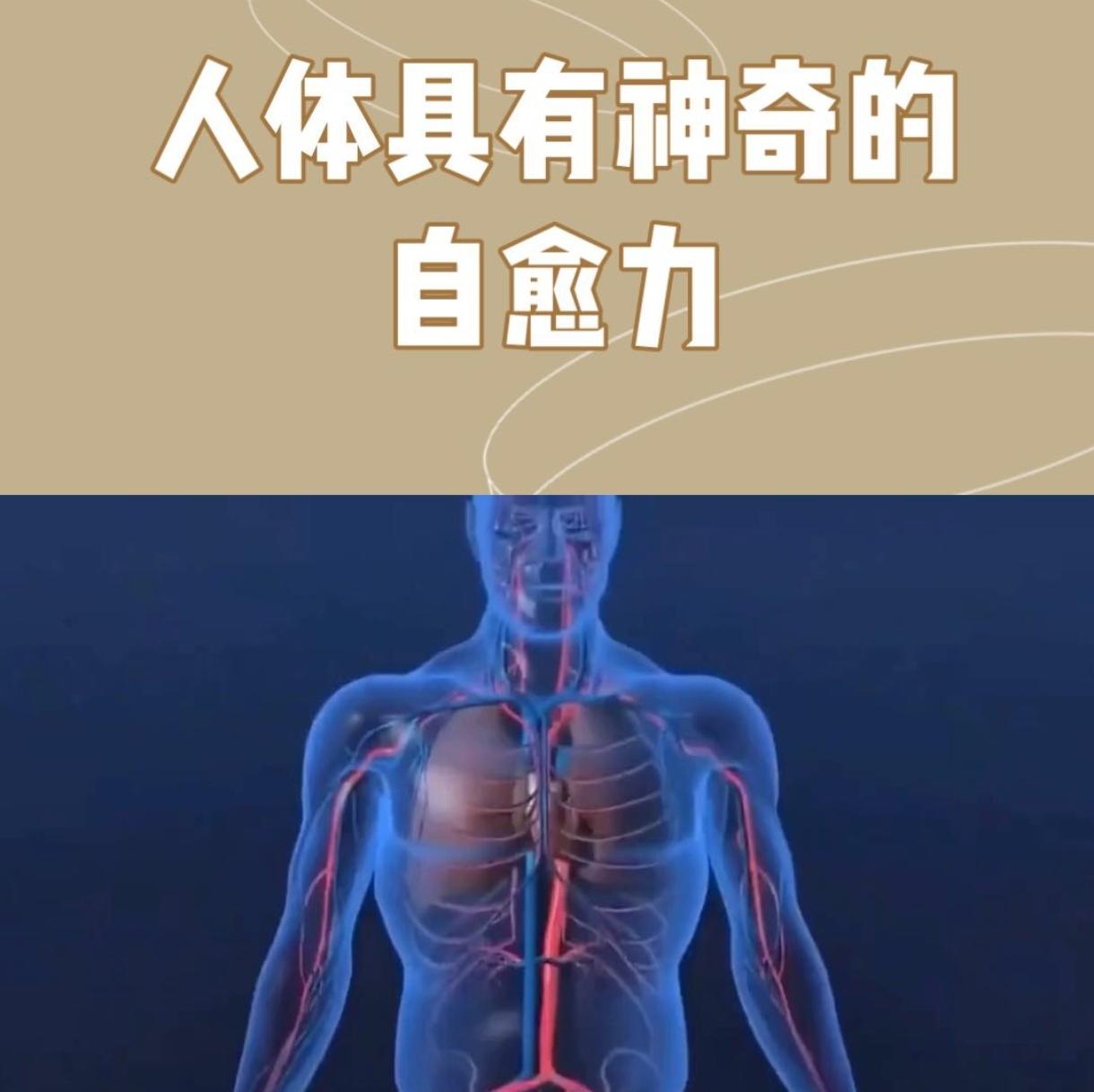 人体自愈力十分惊人
       有人说，90%的病痛身体可自行修复。很多时候，