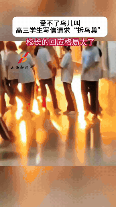 “太有格局了”！高三备考压力大，被鸟叫吵得心烦，写信给校长想清鸟窝，完全是学生最