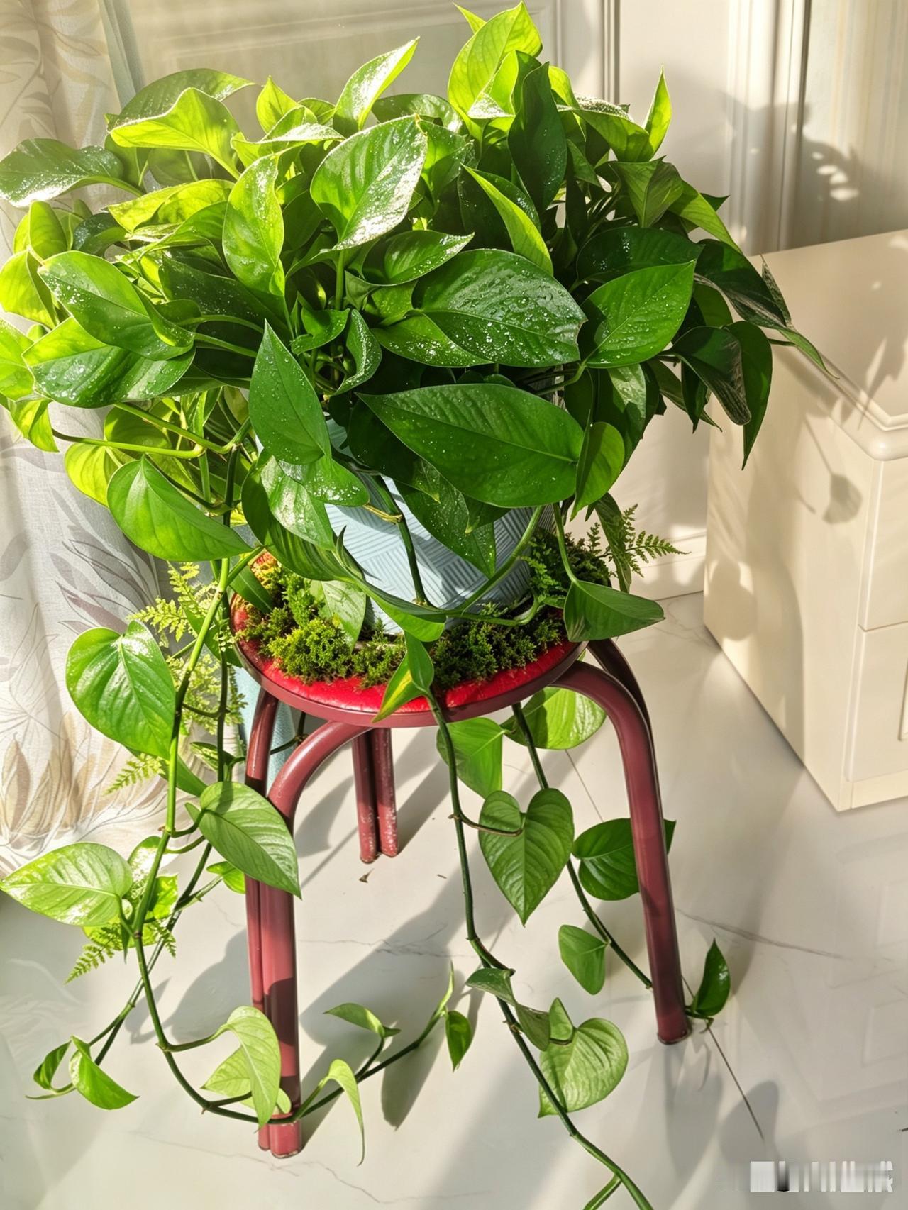 看不惯某个人，听到她的声音都反感

说不清的厌烦，天生磁场不合。
光是听见她的声