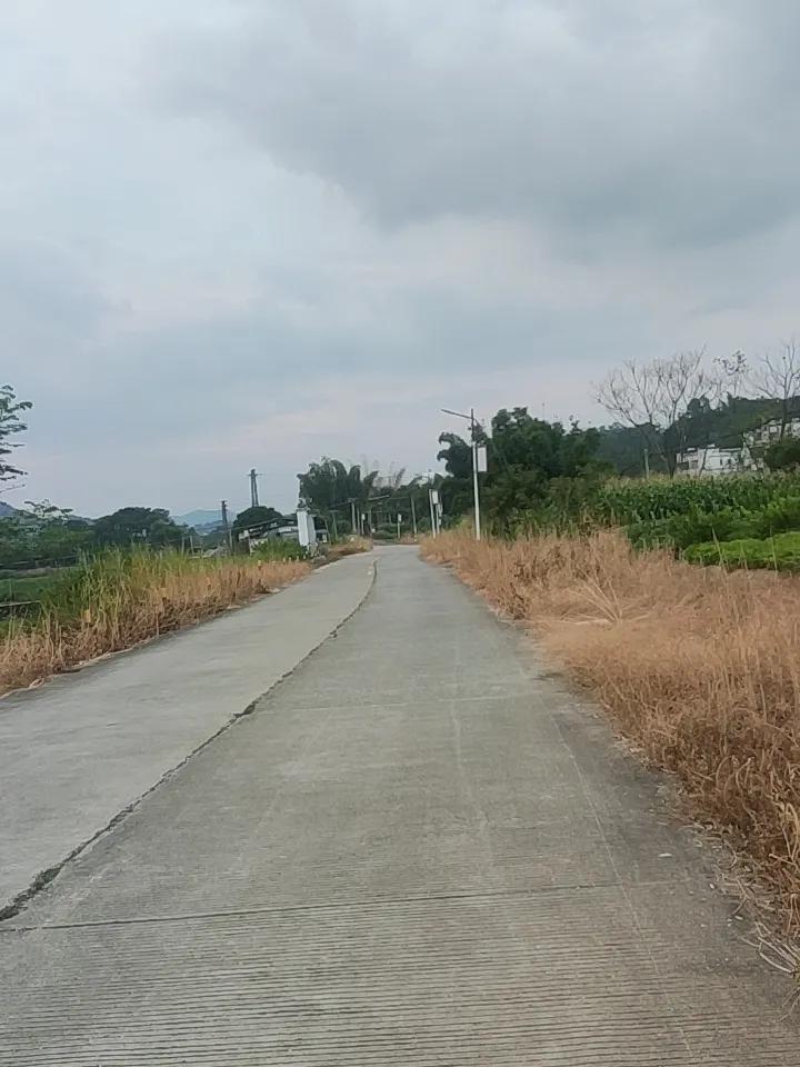 我老家村南那条没名字的小路，现在想起来还满是画面。
整条路才百余米长，宽也就三尺