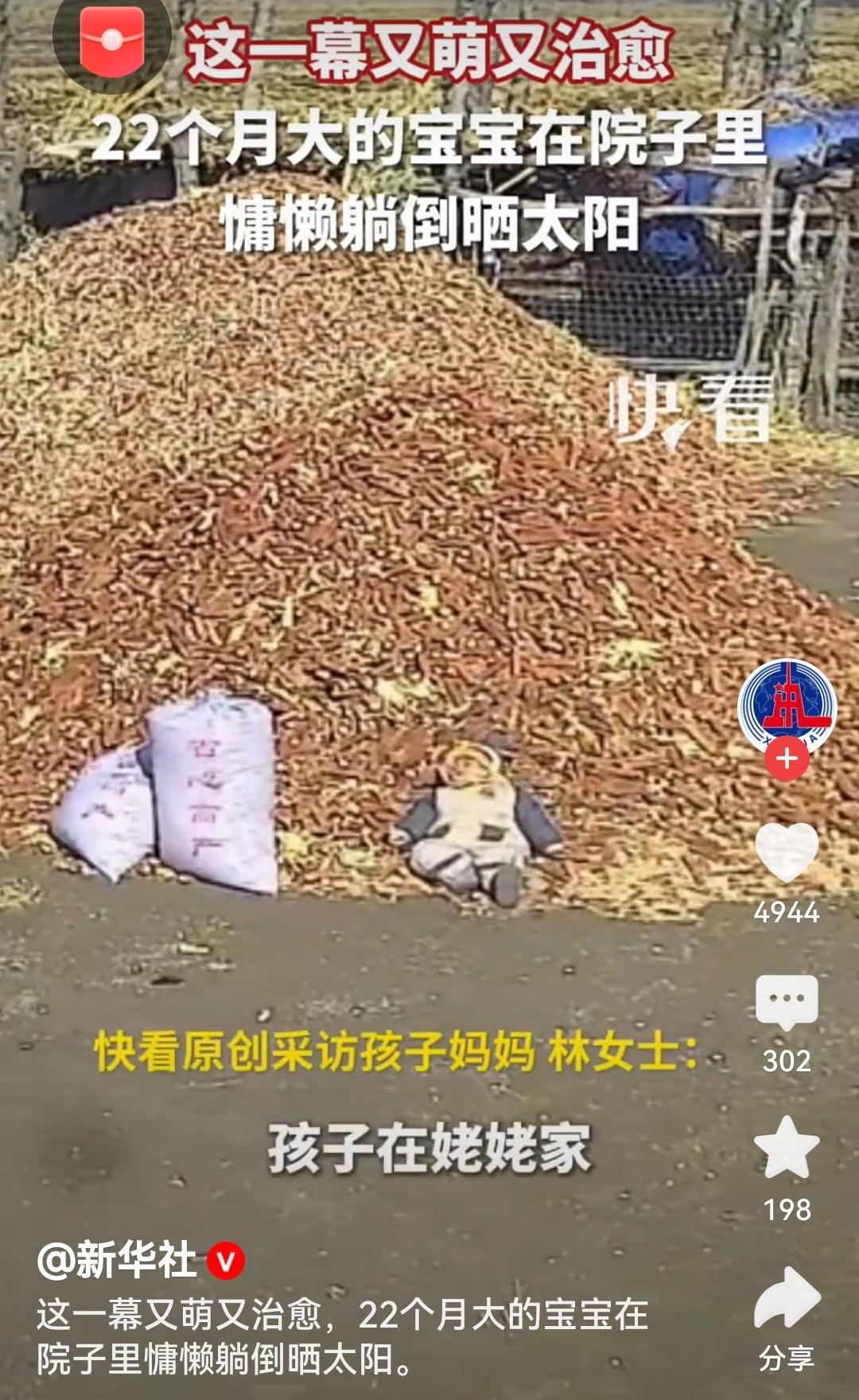 22个月大宝宝躺玉米芯上晒太阳宝宝躺在玉米芯上晒太阳的模样太治愈了，满是童年的纯