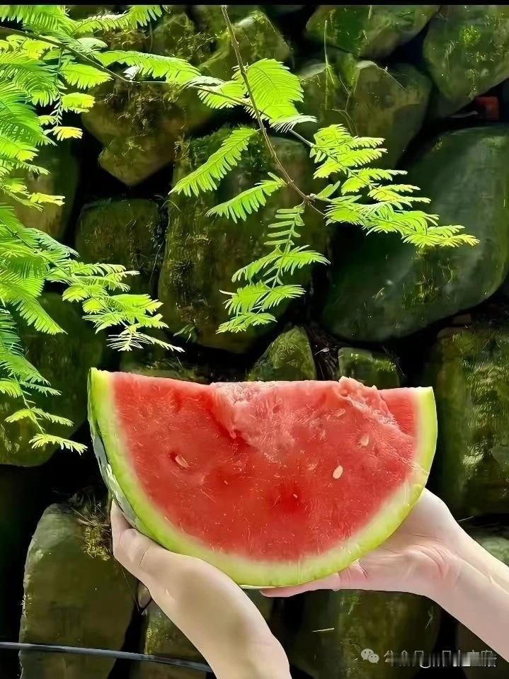 越来越热的夏天，
高温使人烦躁，
其实有句话说得好：
心静自然凉。

谁的生活都