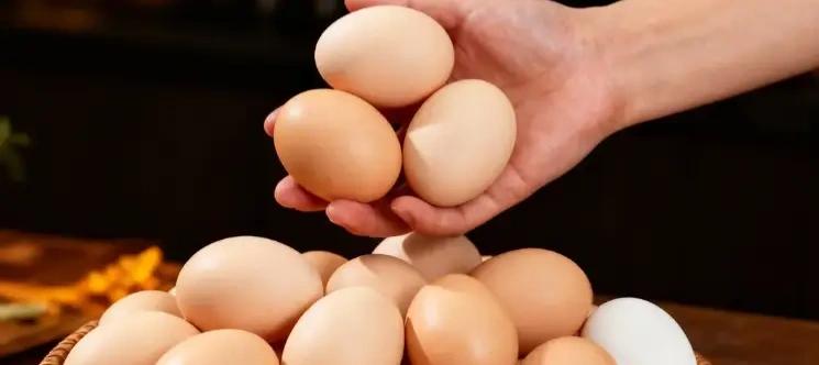 真相炸裂！每天一个鸡蛋是营养帮手还是血脂杀手？这6大误区坑惨国人  
 
   