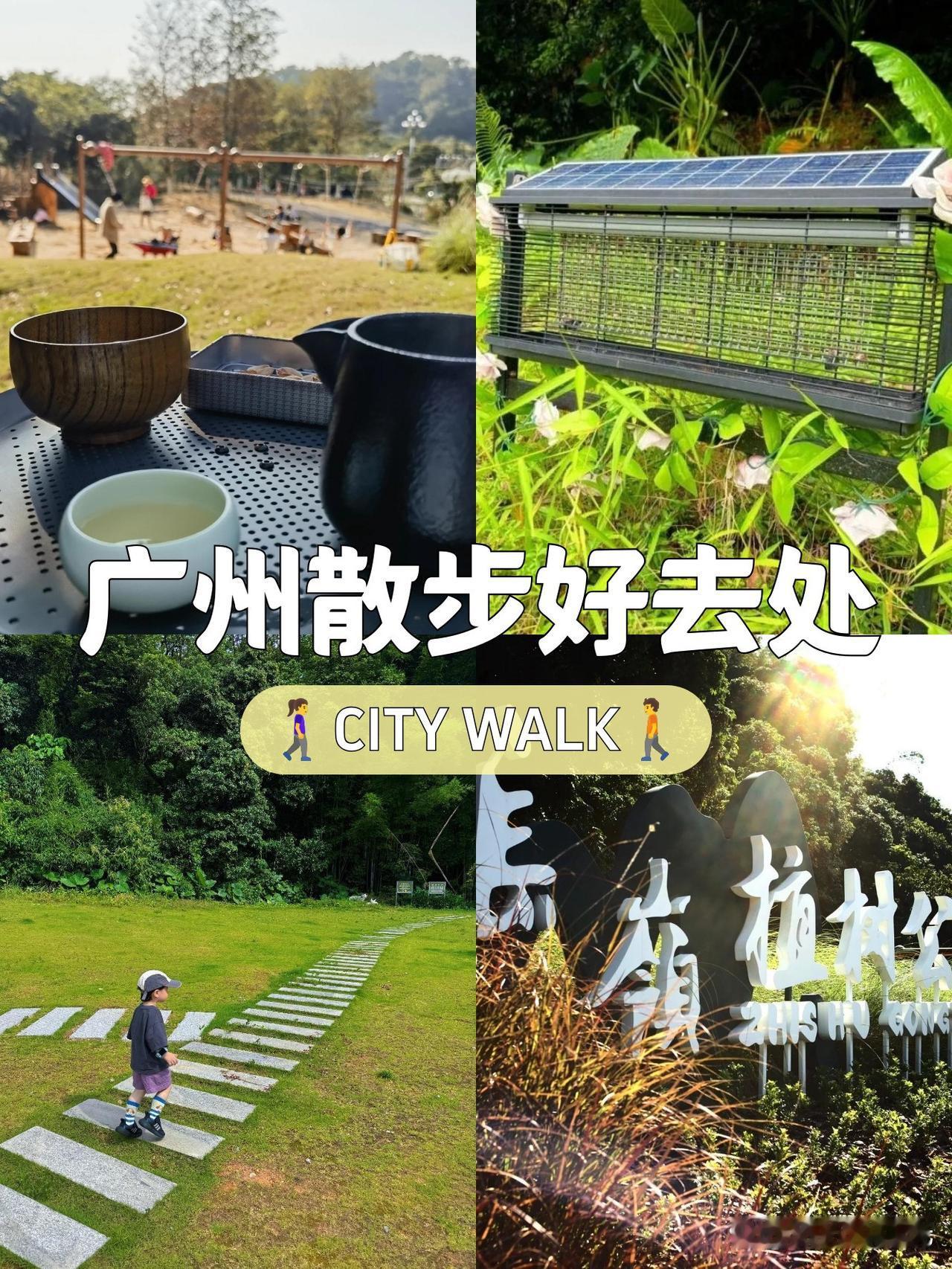 🌿春日漫游指南｜长岭植树公园徒步路线

春风拂面的周末，我带着运动装备走进这座