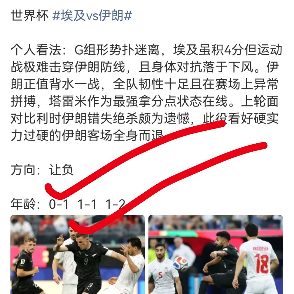 埃及vs伊朗 绝杀被吹，这要是没晋级那可就哭了伊朗越位绝杀被吹